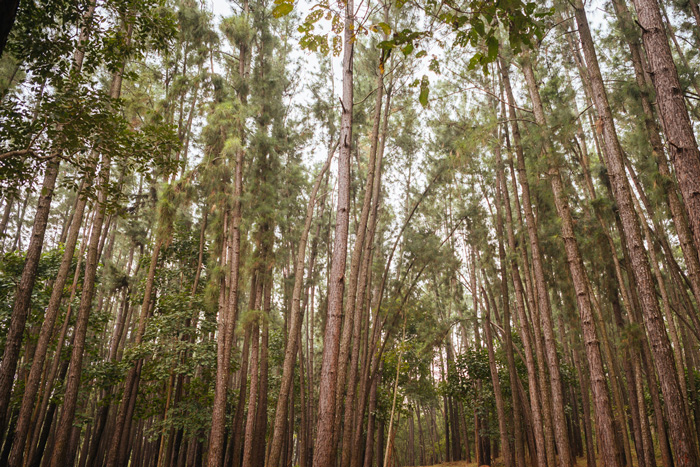 Gurguria nature Camp