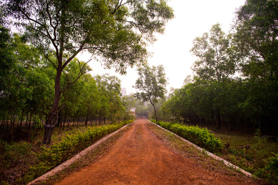 Kumari nature Camp