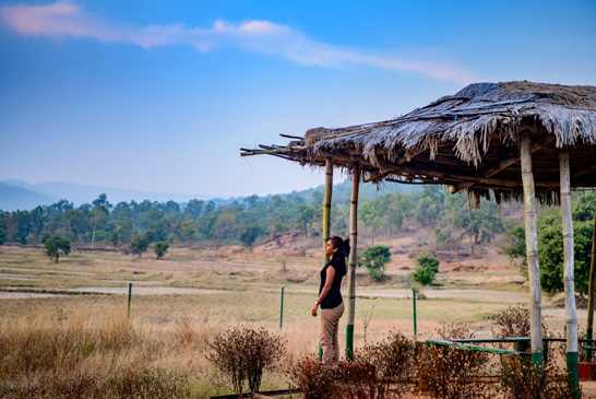 Kumari nature Camp