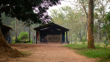 Nature Camps Jamuani