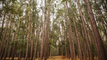 Nature Camps Gurguria