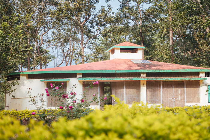 Sal forest, orchids, and wildlife around Gurguria, view 1