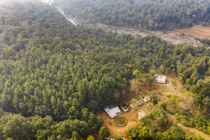 Sal forest, orchids, and wildlife around Gurguria, view 3