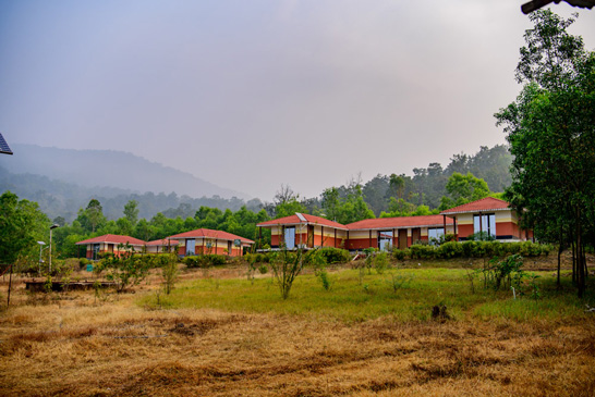 The valley, meadow, and forest around Kumari, view 3